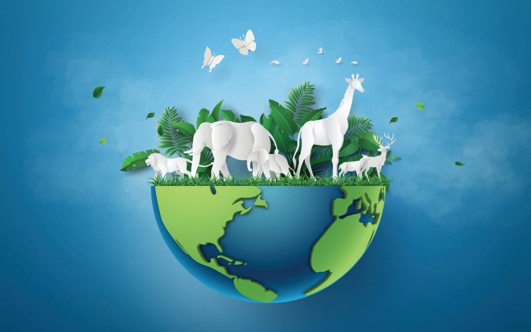 One Health and Planetary Health: Why We Need Both Frameworks in Public Health