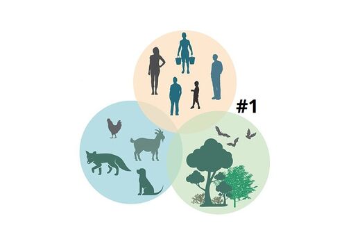 MI One Health Series #1: Highly Pathogenic Avian Influenza (HPAI) (No CE)