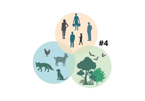 MI One Health Series #4: Rabies (No CE)