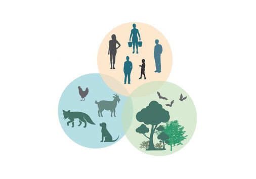Leveraging Human, Animal, and Environmental Health: A One Health Series (Program-No CE)